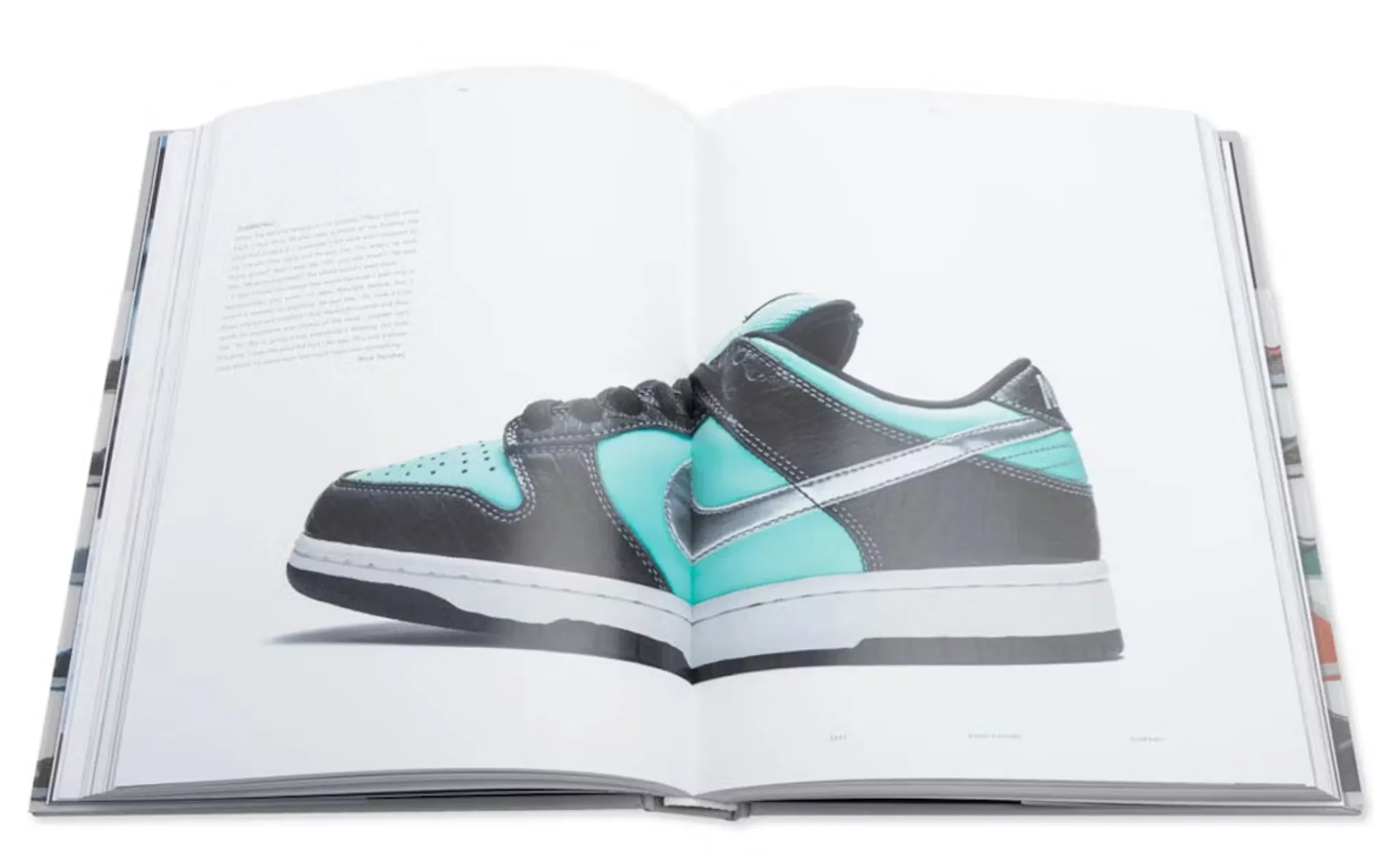 Nike The Dunk Book