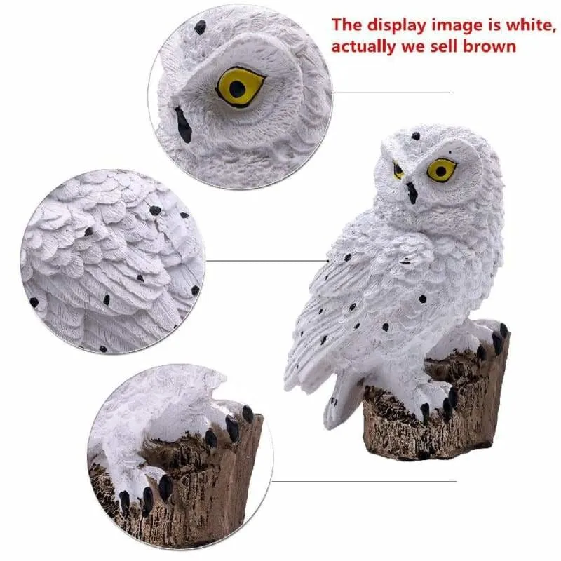 Solar Owl Garden Light